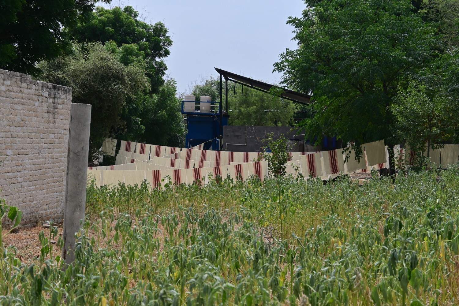 Vasundhara - Craft and Livelihood Development